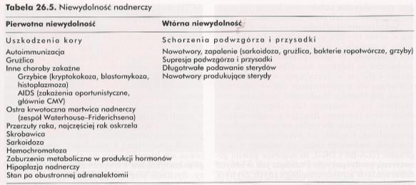 RAK KORY NADNERCZY c.d.