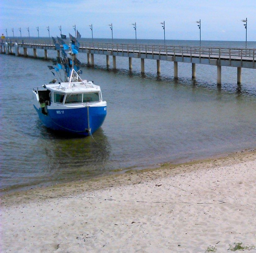 Budownictwo Ochrony Środowiska