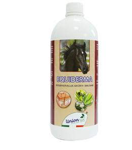 Maznąć gazikiem z produktem albo rozpylić produkt na czystej skórze, koncentrując się na bardziej uwrażliwionych miejsach. NA STAN ZAPALNY Woda, Aloe barbadensis (aloes), polisorbinian 20, MATRICE U.
