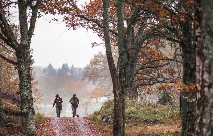 Sörmland Na strzelnicę, ambonę lub poniedziałkowe spotkanie Värmland Intensywne i długie zasiadki w