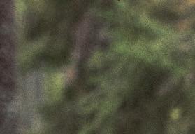 Cena: 1 899 pln Forest Fleece Jacket Rozmiary: