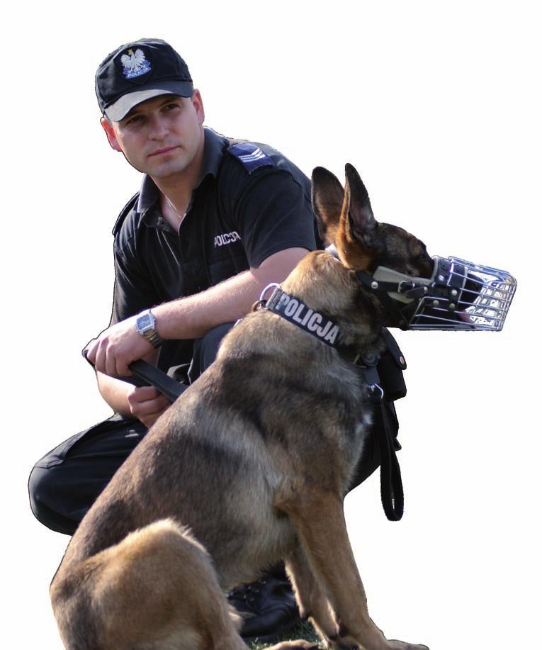 60-lecie zakładu kynologii policyjnej centralny dobór psów do służby w policji Rezultatem były akty prawne, które zostały zatwierdzone przez Komendanta Głównego Policji i wprowadzone w życie jako