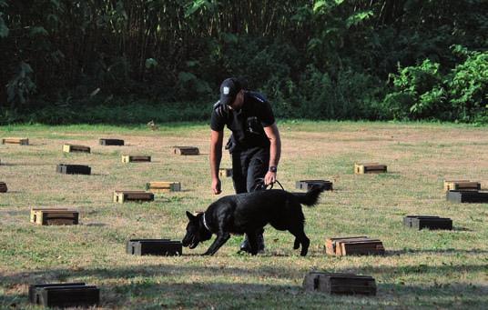 Wymiana doświadczeń w zakresie metod tresury psów służbowych. Poznanie systemów kształcenia zawodowego policjantów przewodników psów służbowych.