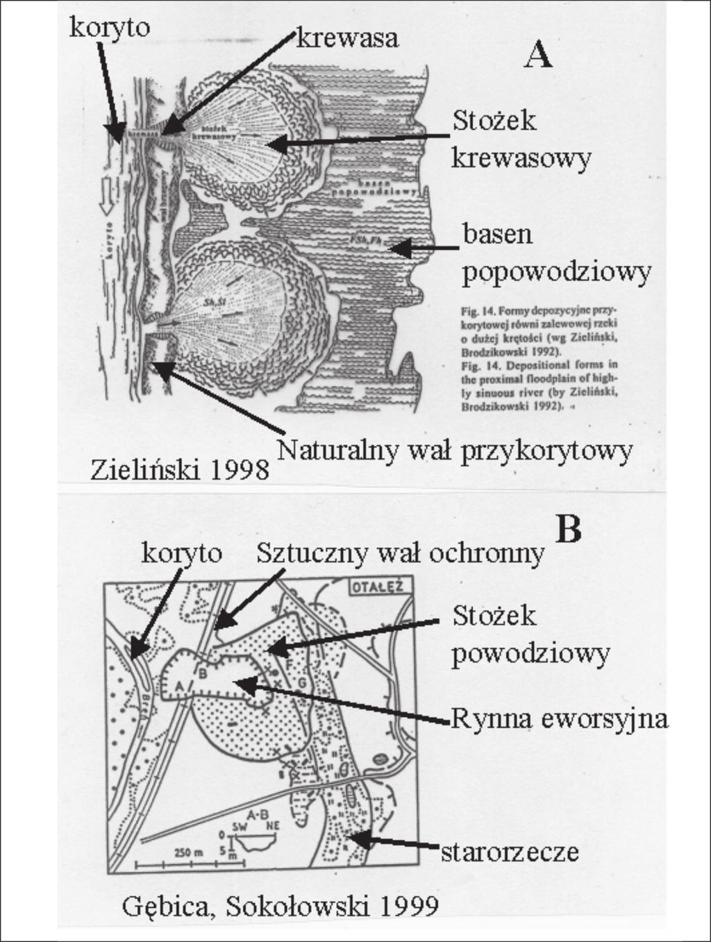 134 Ryc. 1. Modele sedymentacji w strefie przykorytowej równi zalewowej (Gębica 2005) A.