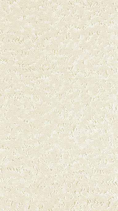 biały 1 white белый weiß