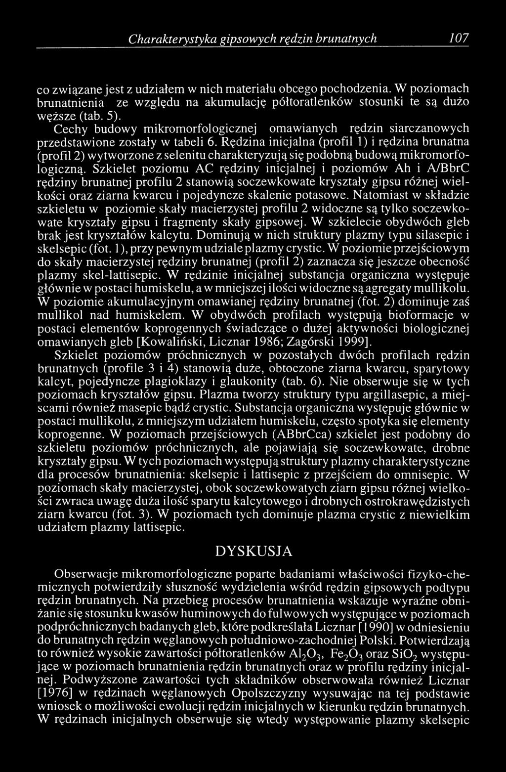 Rędzina inicjalna (profil 1) i rędzina brunatna (profil 2) wytworzone z selenitu charakteryzują się podobną budową mikromorfologiczną.