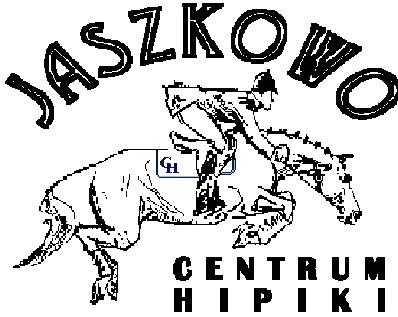 Wyniki konkursu Grupy A2 dwunawrotowy 80/ 85 cm Art. 238.1.