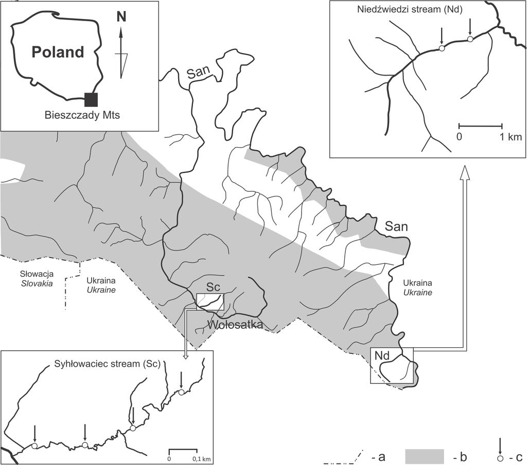300 ROCZNIKI BIESZCZADZKIE 24 (2016) Na obszarze Bieszczadzkiego Parku Narodowego jętki należące do rodzaju Cloëon zostały po raz pierwszy stwierdzone w 2007 roku, w stawach bobrowych w potoku