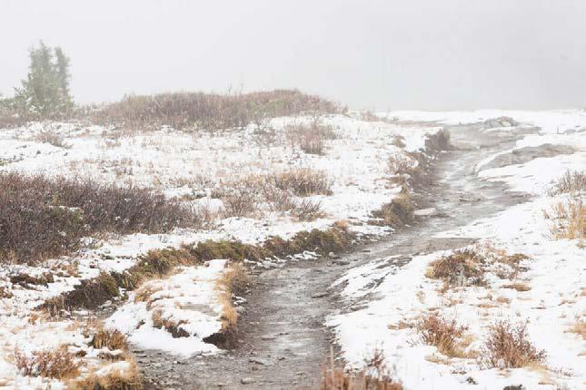 ZIMOWY TREKKING Na pozór niewinnie wyglądająca ścieżka, może okazać się prawdziwym lodowiskiem (fot.