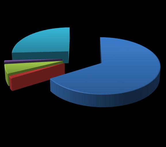 25,8% Mieszkalnictwo Użyteczność publiczna 1,0% 5,4% 1,5% 66,3% Handel, usługi, przedsiębiorstwa Oświetlenie uliczne Transport Rysunek 20 Udział poszczególnych sektorów odbiorców w całkowitej emisji
