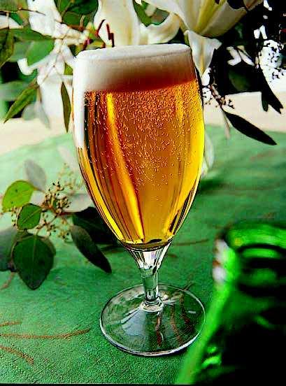 Kufel minden Kufel casablanca Szklanka ranity Pokal do piwa cabernet CAMRACK CAMRACK CAMRACK CAMRACK 03416 630 185 81 6 25S800 14,87 64463 685 197 96 6 16S800 11,20 02465 650 178 96 12 16S800 10,21