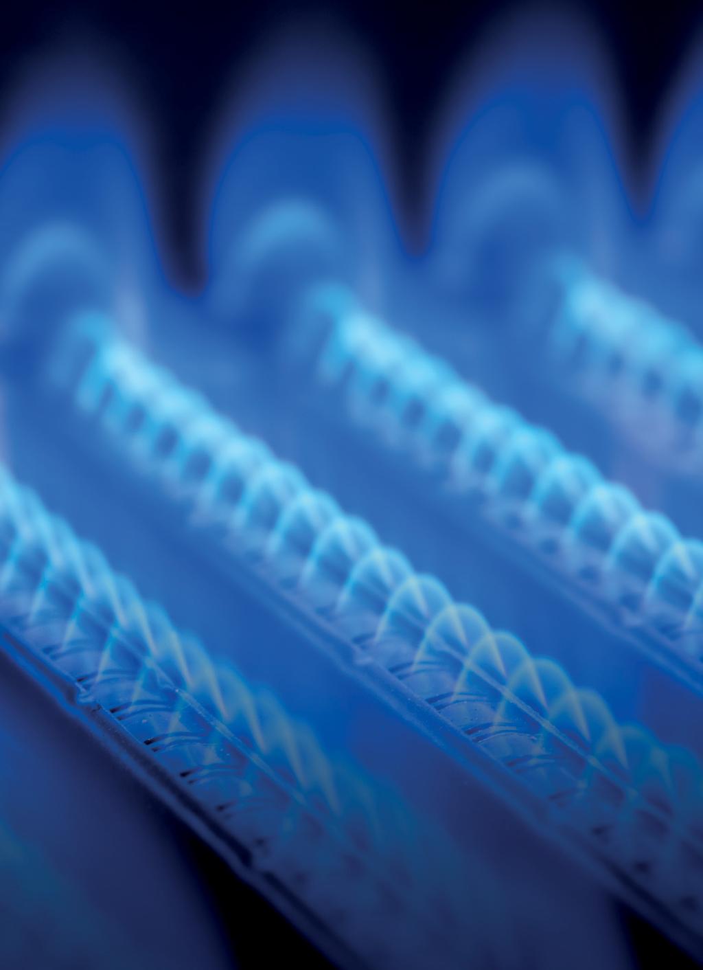 Gaz płynny LPG Energia elektryczna Nie masz dostępu do sieci