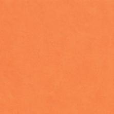 textile 1584 50 x