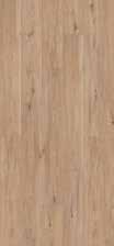 W50025 beech 