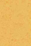 432214 taupe LVR 42%
