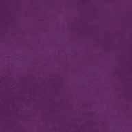 423707 433707 aubergine LRV