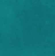 34% 423786 433786 citrouille