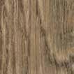 honey elegant oak