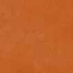oyster seagrass 45113