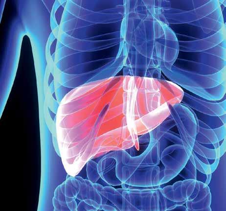 National Cancer Institute of United States Polskie Towarzystwo Onkologii Klinicznej oraz Fundacja Tam i z