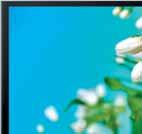SUPEROFERTA TELEWIZJA NOWEJ GENERACJI 900 PMI odświeżanie 43 Smart TV