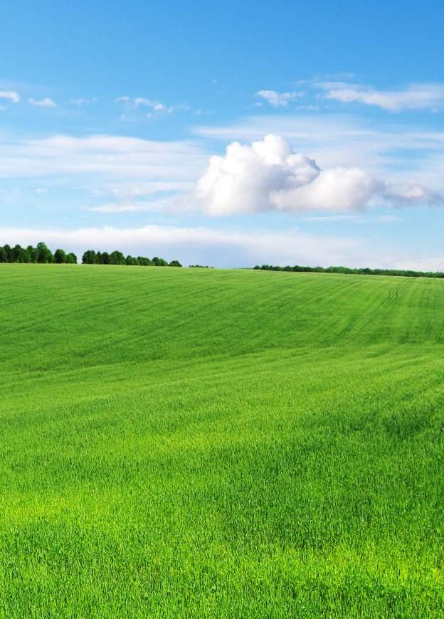 opon dla sektora rolniczego ponad 450 rozmiarów OPONY RADIALNE DO KOMBAJNÓW ZBOŻOWYCH NAPĘDOWE OPONY DIAGONALNE DO CIĄGNIKÓW OPONY DO ROZTRZĄSACZY/ CYSTERN Z OBORNIKIEM OPONY DO MASZYN ROLNICZYCH W