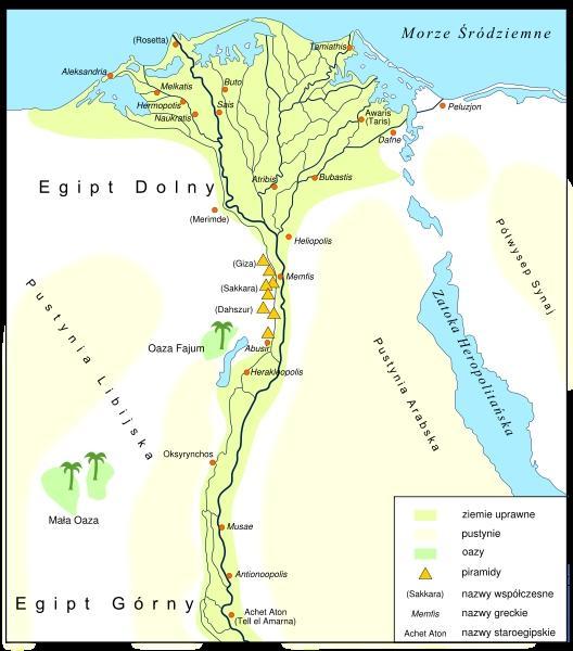 Wybrzeże deltowe powstaje na obszarach ujściowych rzek, które zmieniają ukształtowanie wybrzeża poprzez budowanie delty.