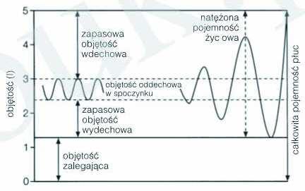 Objęto tość płuc Ryc. 1. Objętości płuc K.