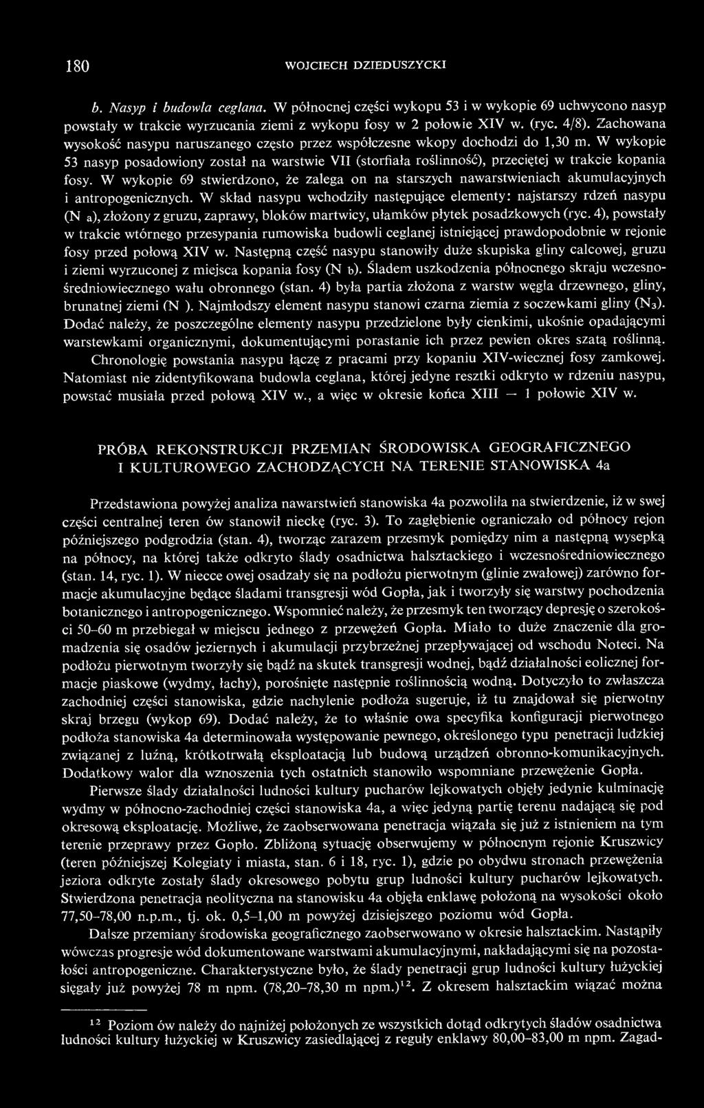 W wykopie 53 nasyp posadowiony został na warstwie VII (storfiała roślinność), przeciętej w trakcie kopania fosy.