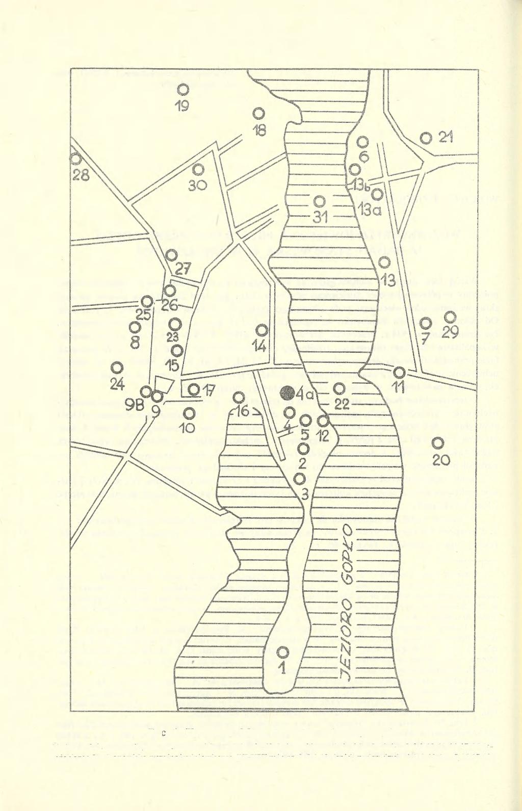 168 WOJCIECH DZIEDUSZYCKI Ryc. 1. Kruszwica.