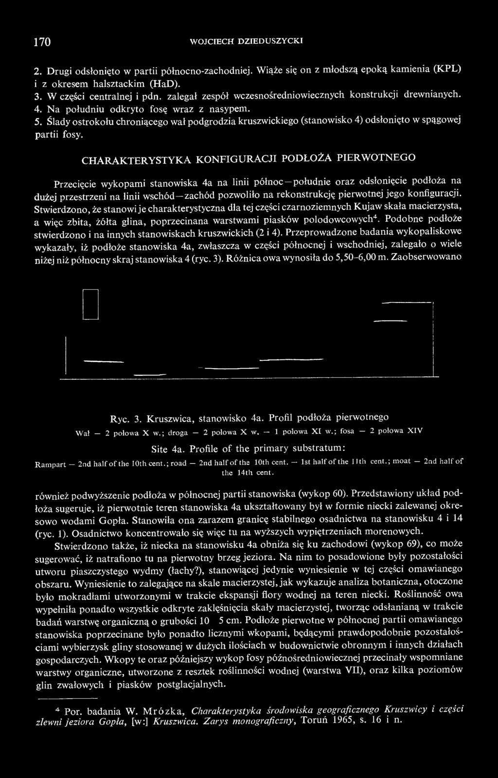 Ślady ostrokołu chroniącego wał podgrodzia kruszwickiego (stanowisko 4) odsłonięto w spągowej partii fosy.