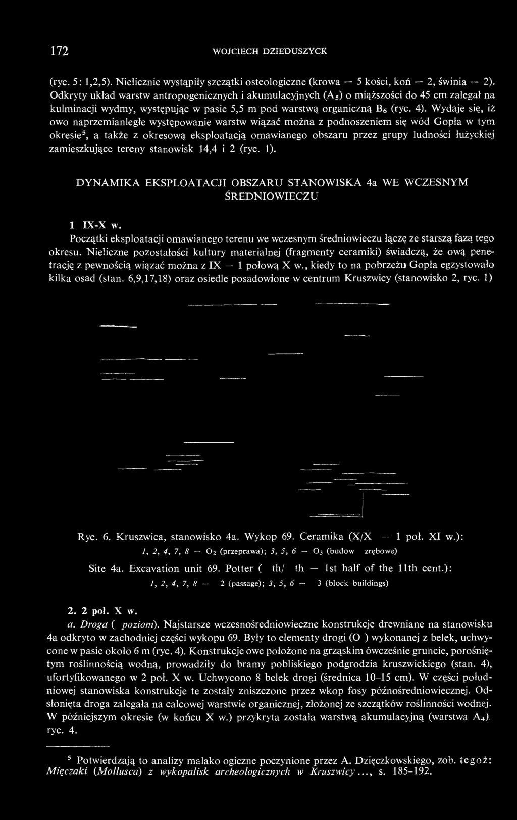Wydaje się, iż owo naprzemianległe występowanie warstw wiązać można z podnoszeniem się wód Gopła w tym okresie 5, a także z okresową eksploatacją omawianego obszaru przez grupy ludności łużyckiej