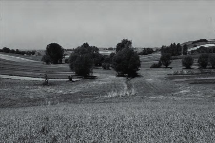 Transformacja doliny dolnej Nidzicy w holocenie Fot. 5. Dolina płaskodenna w zachodniej części zlewni Małoszówki (wyk. H. Hajdukiewicz) Photo 5.