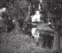 Transformacja doliny dolnej Nidzicy w holocenie Fot. 8. Współczesne starorzecze w dnie doliny dolnej Nidzicy Photo 8.