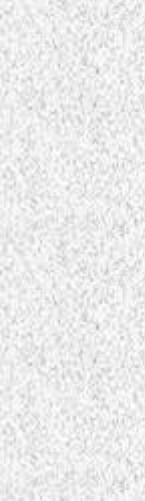 2 18 16 Stosunek skrobi do białka Proportion starch to total protein 14 12 1 8 6 4 2 5 1 15 2 Nawożenie - Fertilization [kg ha