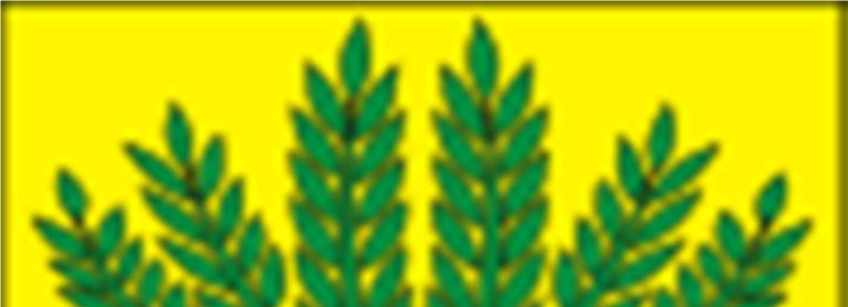 Analiza stanu