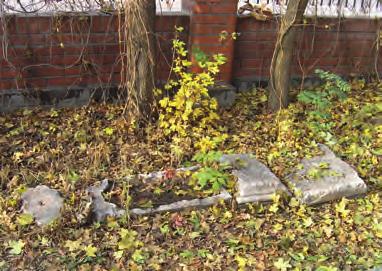 Awazymyz 2006 łego w Warszawie w roku 1909, a pochowanego w Łucku, co odnotowują tamtejsze księgi cmentarne.