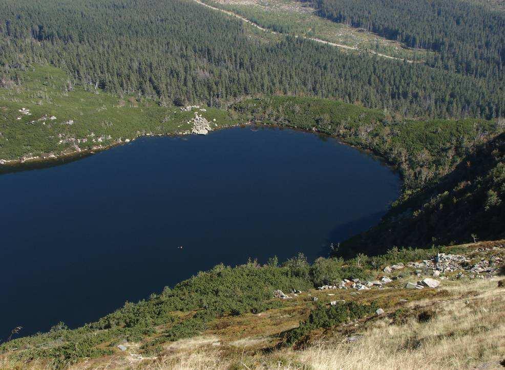 skalny zamykający