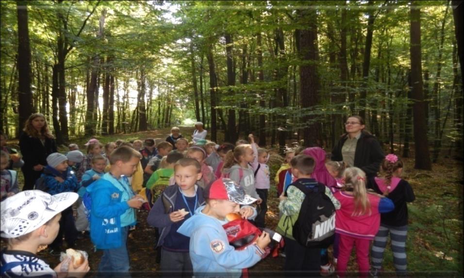 CEL SZLAKU Kształtowanie pozytywnych więzi ze środowiskiem i odpowiedzialności za jego stan.