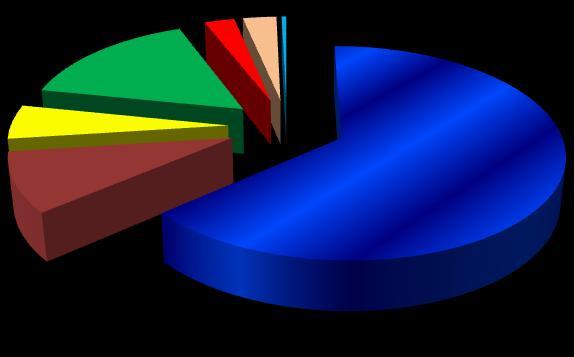 pozarządowych PROJEKTY REALIZOWANE W POWIECIE LĘBORSKIM WG SEKTORÓW 1 952 612,70 15,9% 650 036,97 5,3% 1 131 254,12 9,2% 319 746,93 2,6% 357 621,20 2,9% 50 000,00 0,4% 7 846 272,08 63,8%