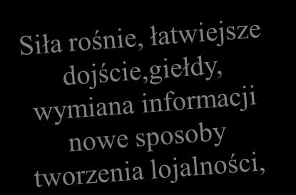 zmiany