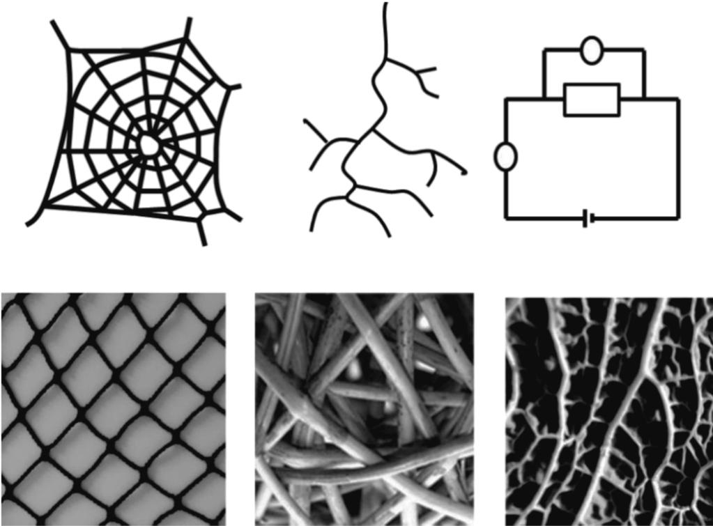 PP 4 15 Relationalism in Political Theory and Research... 195 Fisher s net Braid Web Spiders web River network Figure 3.