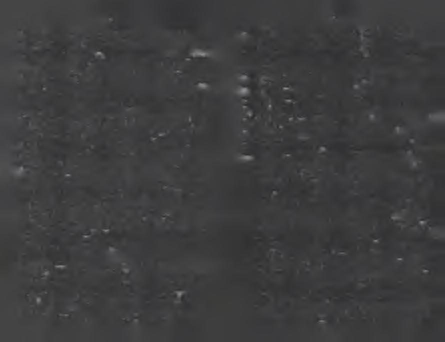 Skutki działania prądu na ludzi i zwierzęta domowe. Część 1: Aspekty ogólne. Polski Komitet Normalizacyjny, Warszawa 1999. 74. Rosmus P., Sobala J.