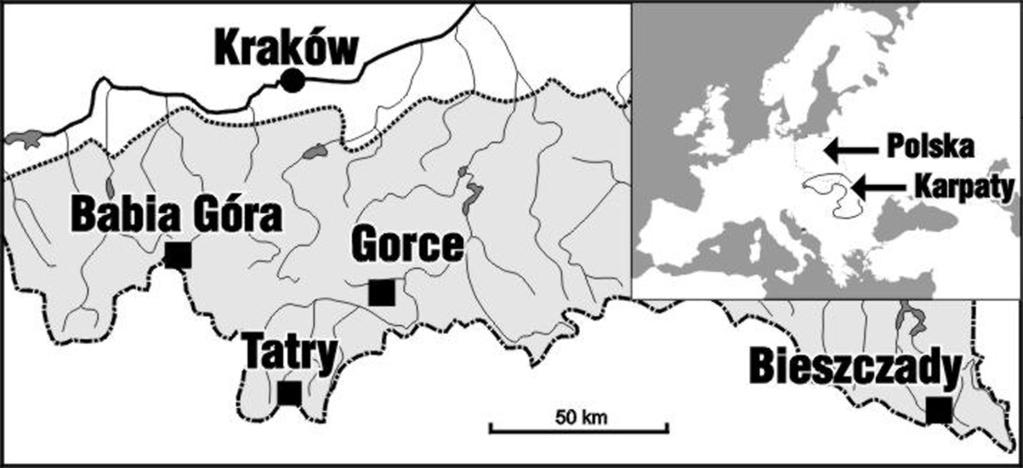 M. Drewnik Właściwości stropowych poziomów... 223 nych sk³adowych (PCA) kompleksowej zmiany warunków edaficzno-klimatycznych (w ok.