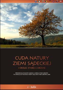 PROMOCJA, TURYSTYKA W ramach projektu