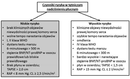 pojawienia się objawów. Mają objawy niewydolności prawej komory serca. Duszność i/lub zmęczenie mogą występować już w spoczynku. Wszelka aktywność fizyczna nasila objawy [3]. Rycina 1.