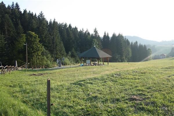 usytuowaną