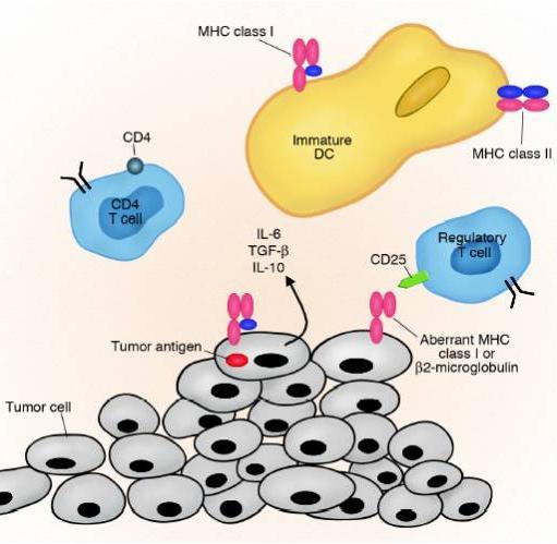 Tolerancja nowotworów wytwarzanie cytokin przeciwzapalnych przez