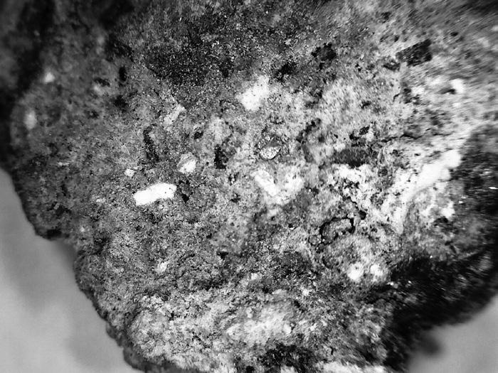Wybrane frakcje występujące w tufie filipowickim biotyt i kwarc pow. 50x Fig. 2.