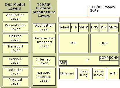 Sieci komputerowe model TCP/IP, a stos protokołów TCP/IP Każdy poziom w